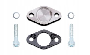 AGR Verschlussplatte Dichtung Schrauben für BMW 3 E46 E90 E91 - 318d 320d